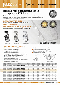 Трековые светильники светодиодные PTR 01-2